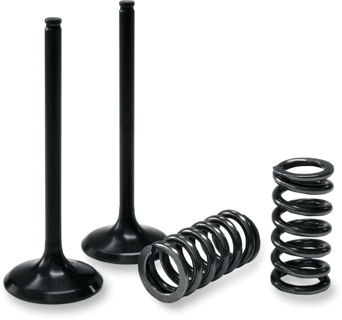 VALVE IN/SPRING KIT KX250F