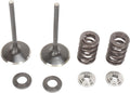 VALVE KIT IN MSE CRF450