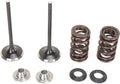 VALVE KIT IN MSE KX250F
