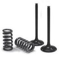 VALVE IN/SPRING KIT SX-F