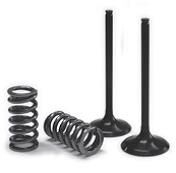 VALVE IN/SPRING KIT SX-F