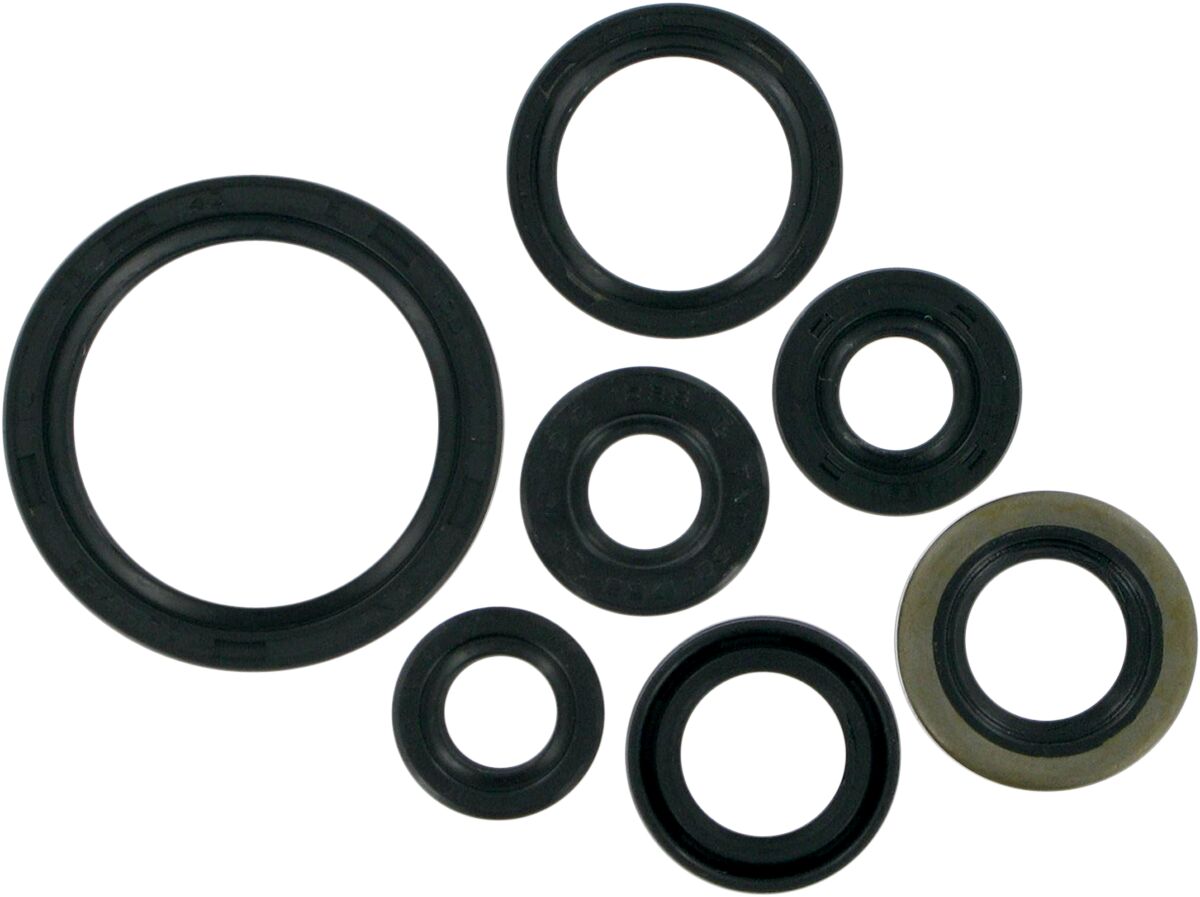 SEAL-KIT OIL-KLX/DRZ400