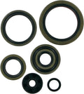 MTR SEALS-250/300SX EXC
