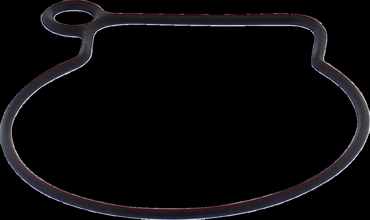 GASKET FLOAT BOWL POL MSE