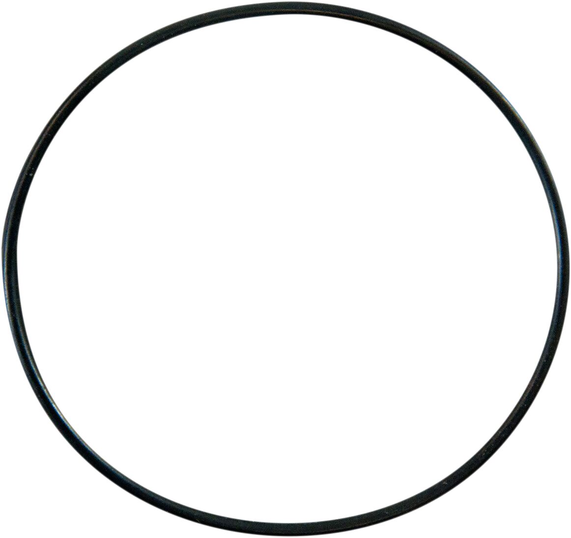 REPLCMNT O-RING 0940-0464