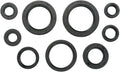 SEAL-KIT OIL-TRX450R