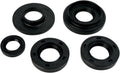 OIL SEAL SET MSE KAW