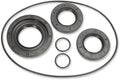 SEAL KT DIFFERENTIAL RR