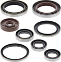Oil Seal Kit