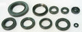 TOURM OIL SEAL LOW ENGINE