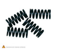 TOURM SPRINGS CLUTCH