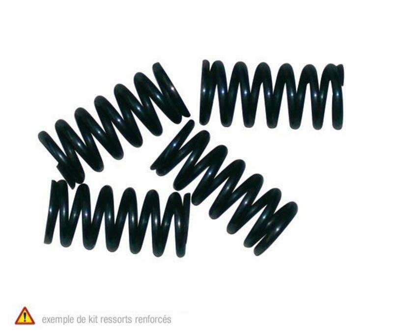 TOURM SPRINGS CLUTCH