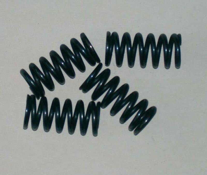 TOURM SPRINGS CLUTCH
