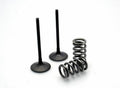 PROX VALVES SET STEEL