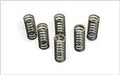 BARNE SPRINGS CLUTCH