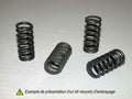 BARNE SPRINGS CLUTCH