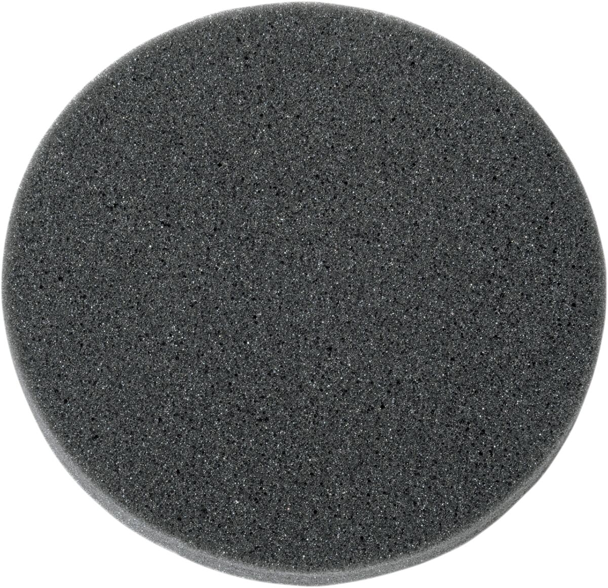 AIR FILTER (STANDARD) F/ 1010-