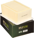 AIR FILTER R1100S 99-05