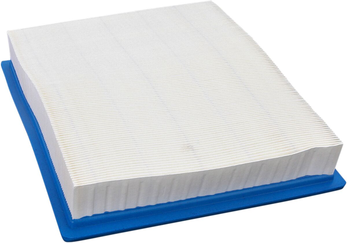 AIR FILTER FILTER RZR900
