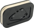AIR FILTER (STANDARD) - XL 04-