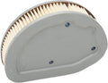 AIR FILTER (STANDARD) - FLHT 1
