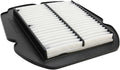 AIR FILTER SUZ SFV650 09-14