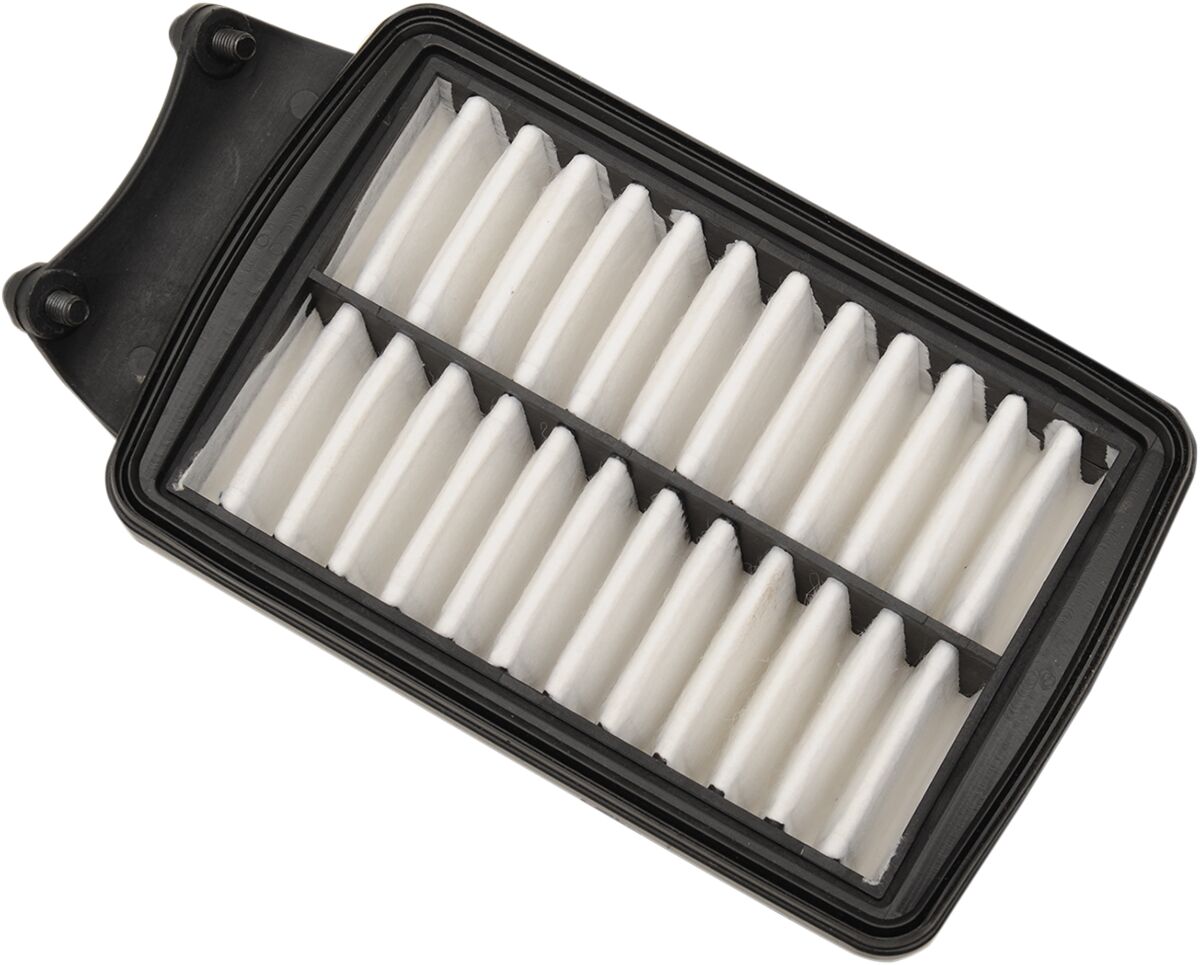AIR FILTER (STANDARD) - VICTOR