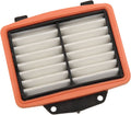 AIR FILTER (STANDARD) - VICTOR