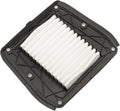 AIR FILTER (STANDARD) - INDIAN
