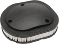 AIR FILTER (STANDARD) - INDIAN