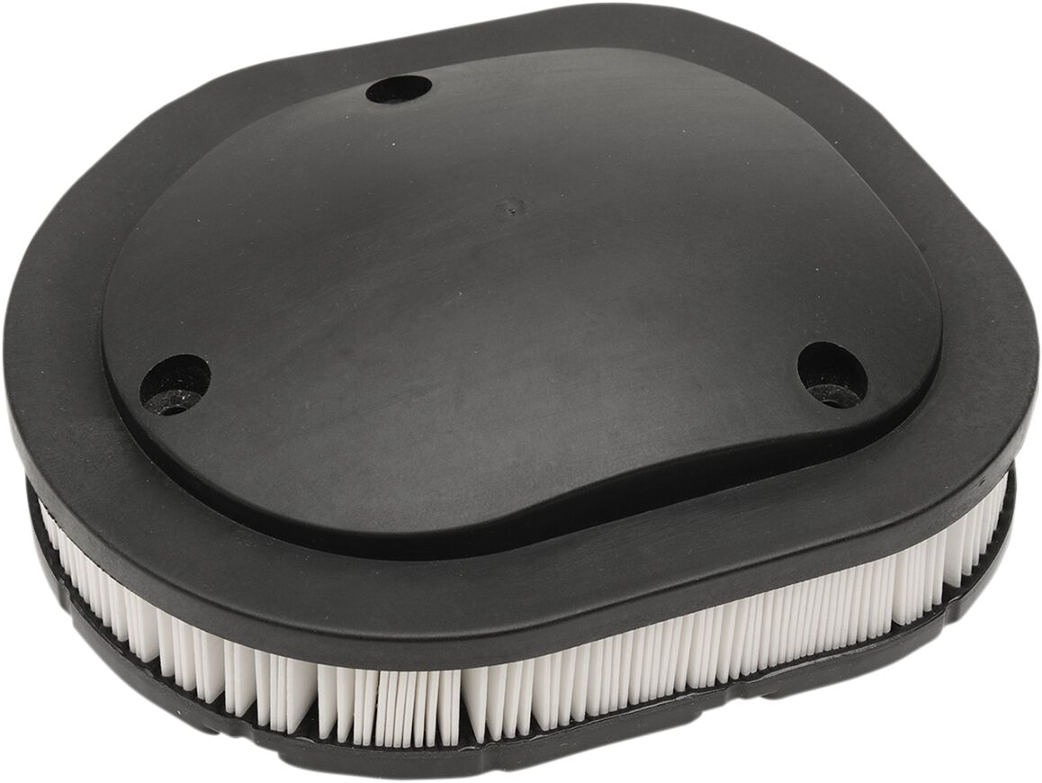 AIR FILTER (STANDARD) - INDIAN