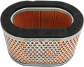 AIR FILTER TRIUMPH