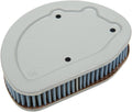 AIR FILTER (PERFORMANCE) - FLT