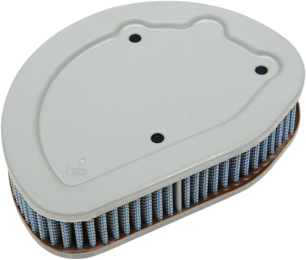 AIR FILTER (PERFORMANCE) - FLT