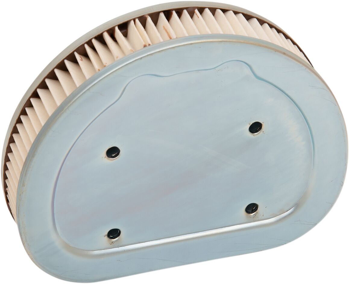 AIR FILTER (STANDARD) - EFI 99