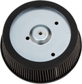 AIR FILTER (STANDARD) - 29442-