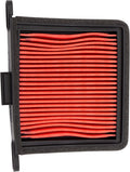 AIR FILTER TRIUMPH