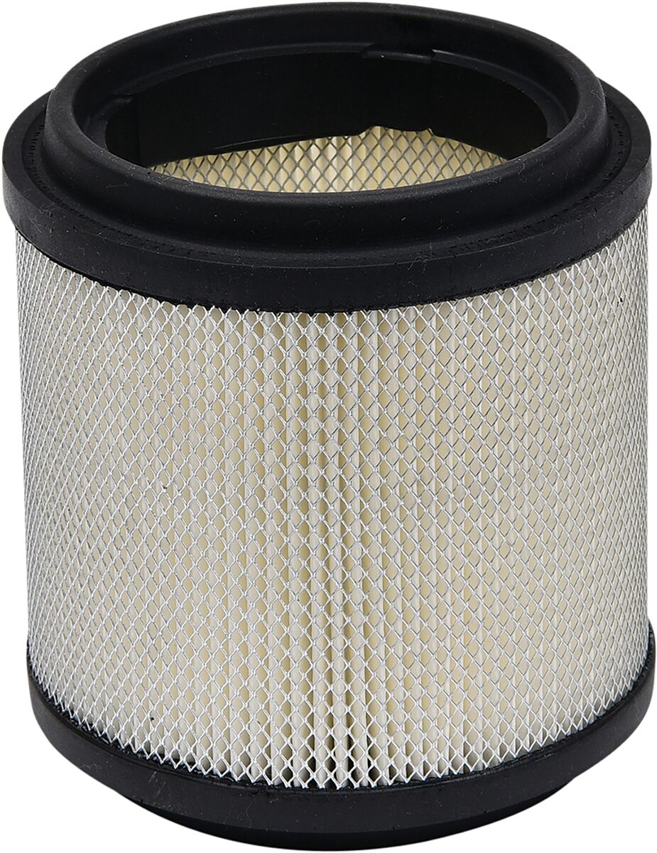 AIR FILTER POLARIS