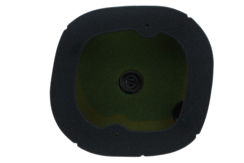 AIR FILTER PO TRIUMPH TF '24
