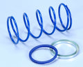 POLIN SPRINGS COMPRESSION