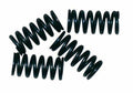 NEWFR SPRINGS CLUTCH