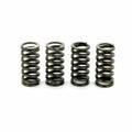TOPPE SPRINGS REINFORCED 100KG