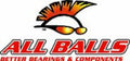 ALLBA DIFF. BEARING+SEAL KIT