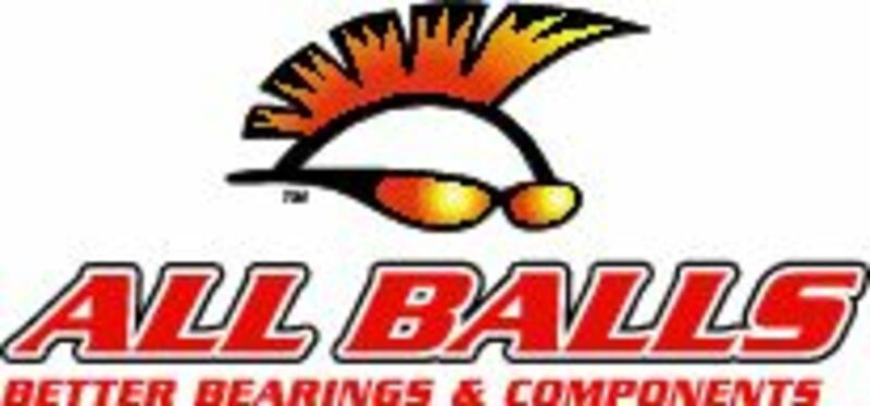 ALLBA DIFF. BEARING+SEAL KIT
