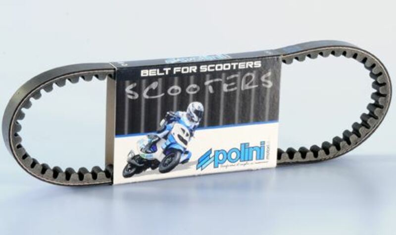 POLIN DRIVE BELT STANDARD