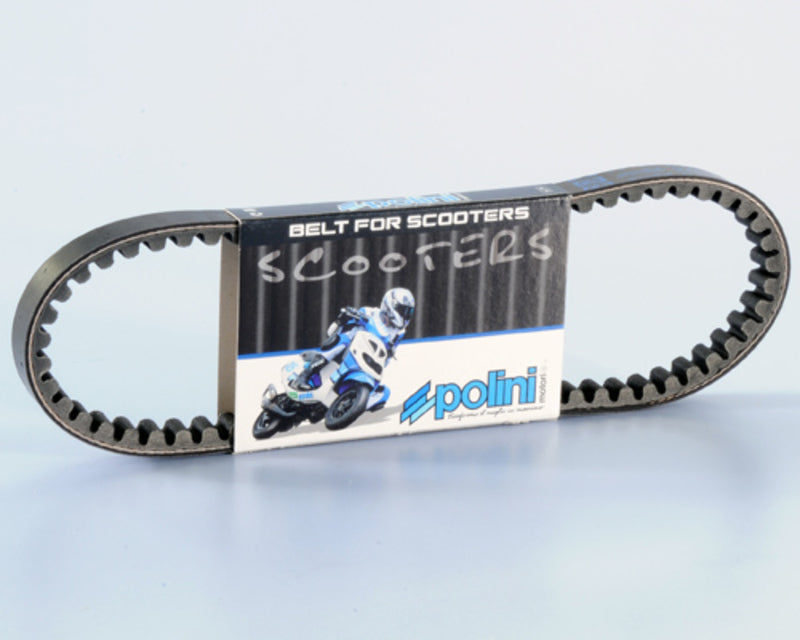 POLIN DRIVE BELT STANDARD