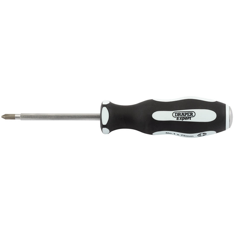 DRAPR SCREWDRIVER CROSS SLOT 2x100MM