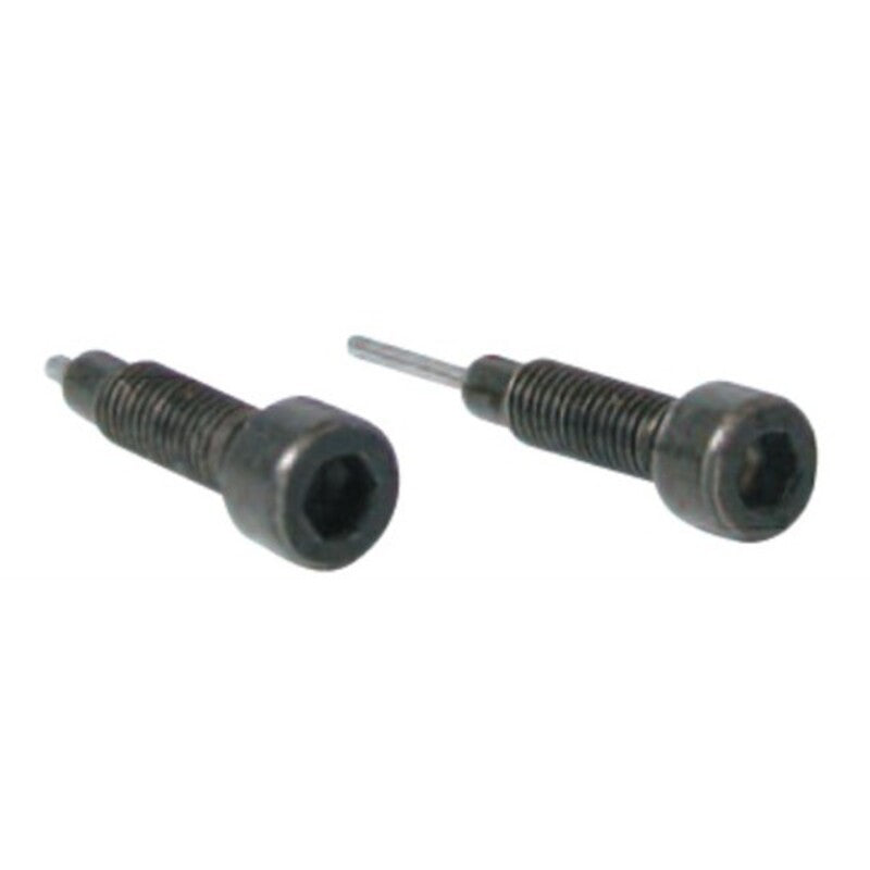 BUZTI PAIR OF SPARE SCREWS FOR CHAIN