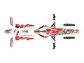 BBIRD DECALS KIT TRIAL TRACTION