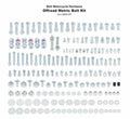 BOLT BOLT KIT PRO UNIVERSAL